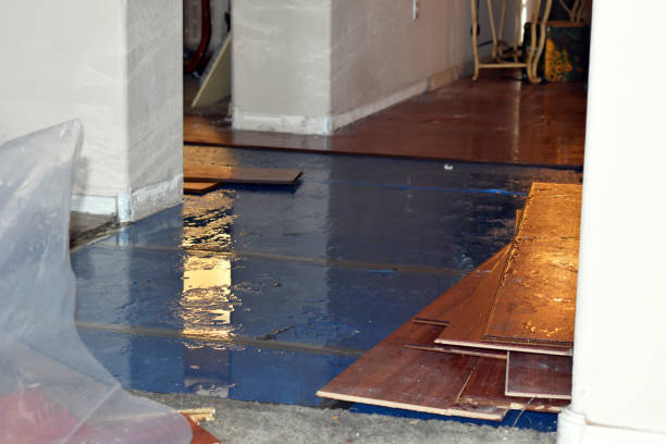 Professional Water Extraction technician working in Kirkman, IA